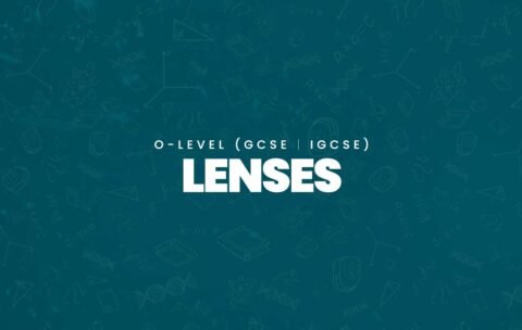 Lenses-min