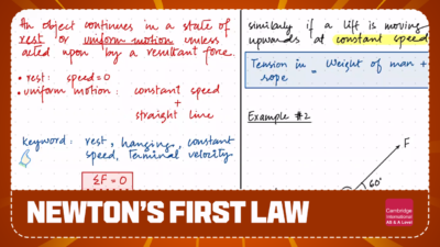newton 1 law